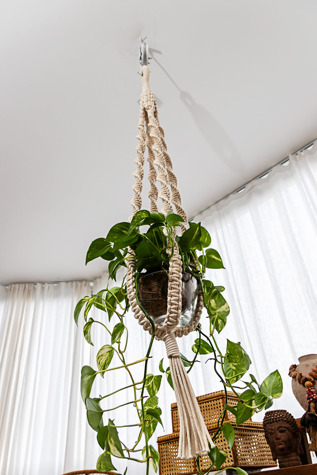 Suporte de planta DNA